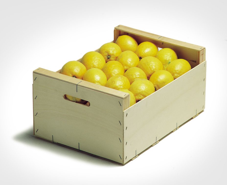 ENVASE-de-400-x-300-mm-UNE-49054-LIMONES-1-3