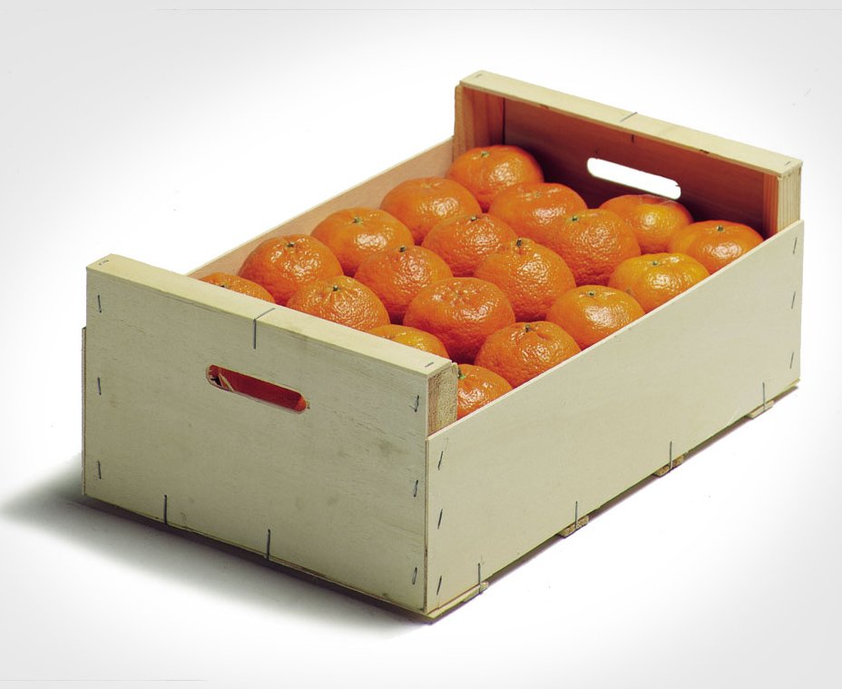 ENVASE-de-440-x-300-mm-UNE-49052-MANDARINA-2